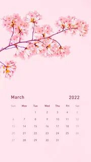 Телефоны март 2024