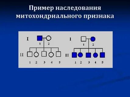 Цитоплазматическое наследование
