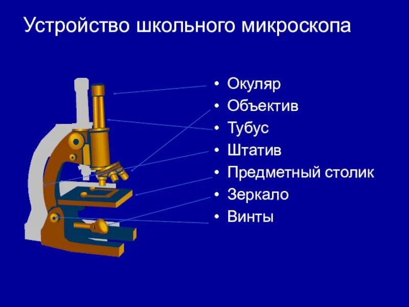 Микроскоп и его части 5 класс биология. Биология 5 кл строение микроскопа. Что такое микроскоп и строение микроскопа 5 класс биология. Строение микроскопа 5. Строение микроскопа 5 класс биология.