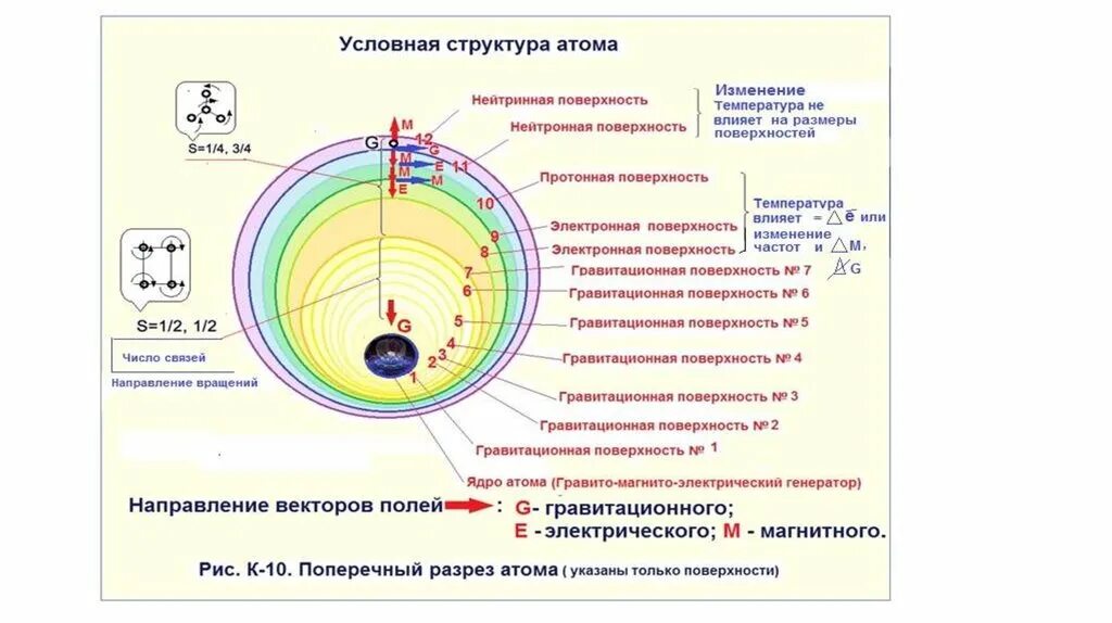 Атом не изменяется. Структура атома. атом в разрезе. строение атома инфографика. условная структура.