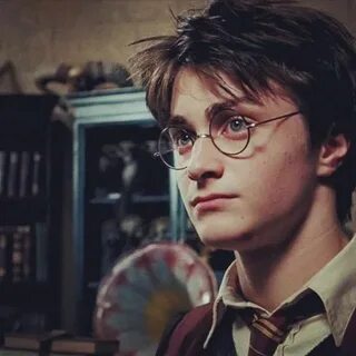 Фото potter