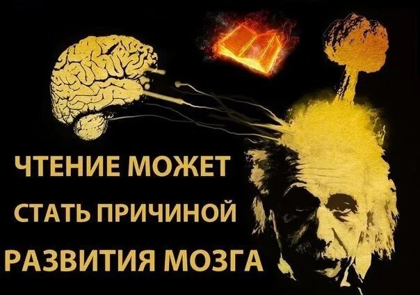 Причины развития мозга. Чтение и мозг. Чтение развивает мозг. Чтение является причиной развития мозга. Чтение книги развитие мозга.