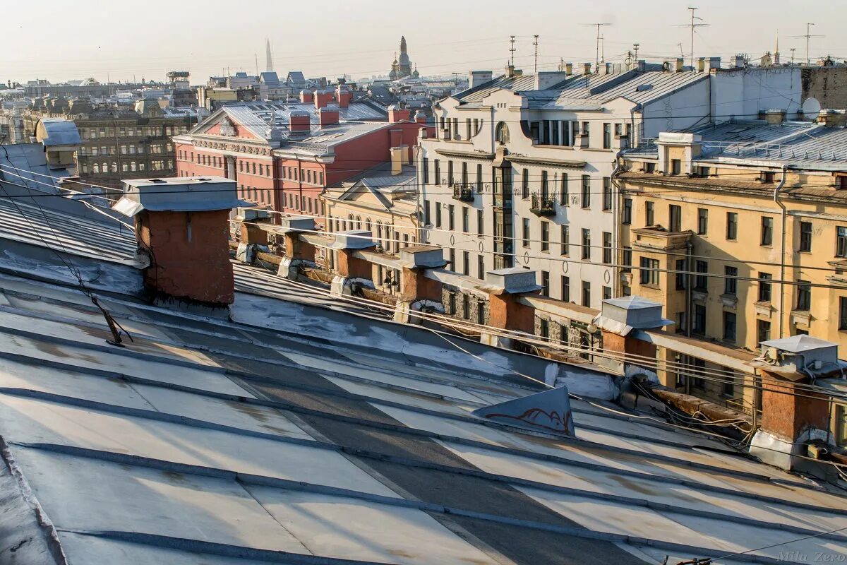 Какая работа в петербурге