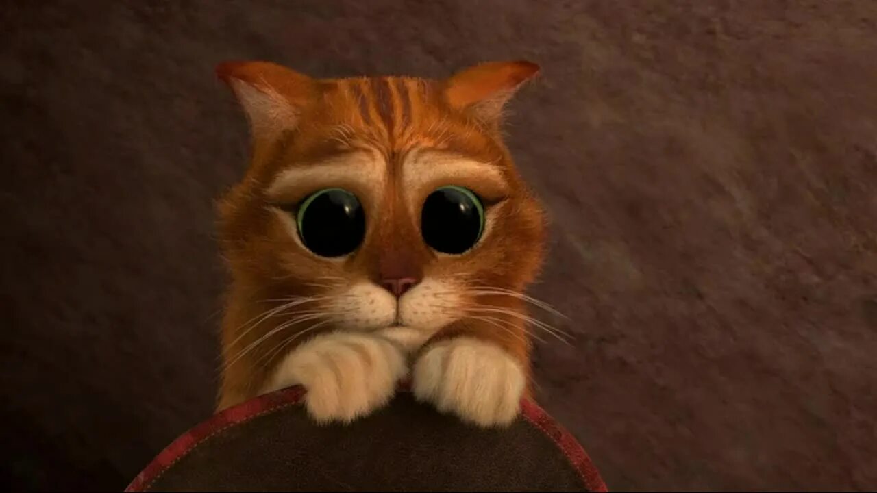 Земфира хочешь текст. Земфира сладких апельсинов. Земфира хочешь. Пожалуйста не умирай слушать. Земфира хочешь клип.