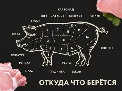 Где туши