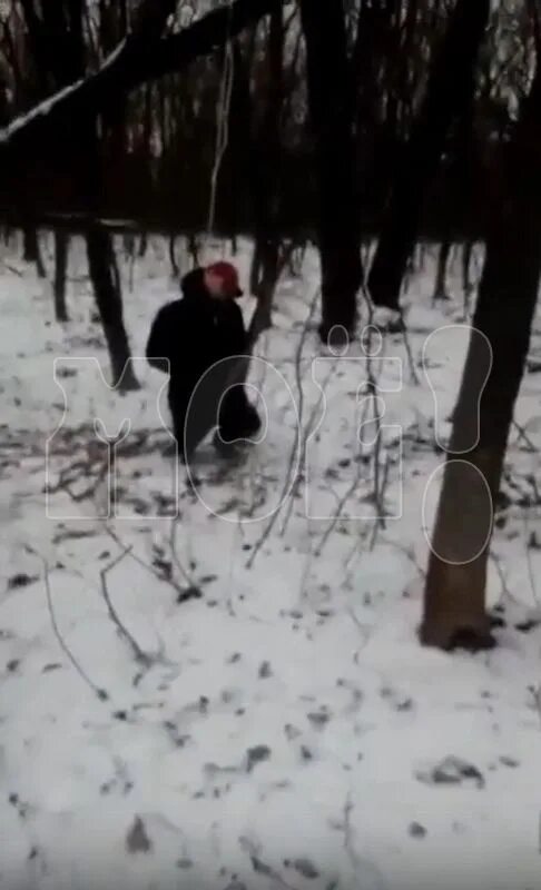 Повешенные воронеж. Повешенный мужчина в лесу. Нашли повешенным в лесу.