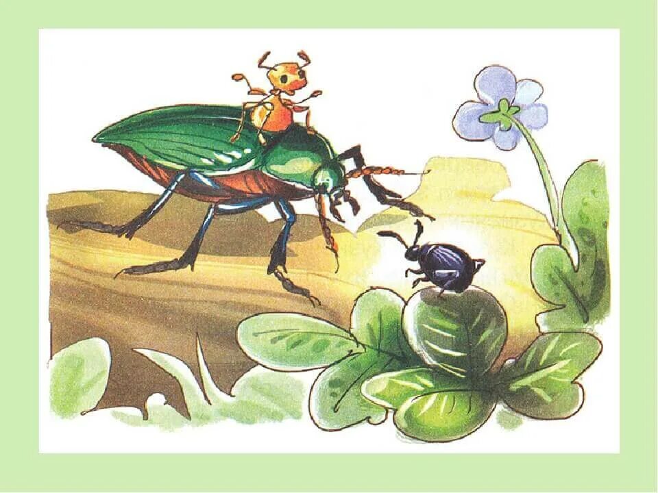 Какие насекомые помогали муравьишке добраться домой. Жучок блошачок Бианки. Приключения муравьишки Бианки жужелица. Жучок блошачок приключения муравьишки.