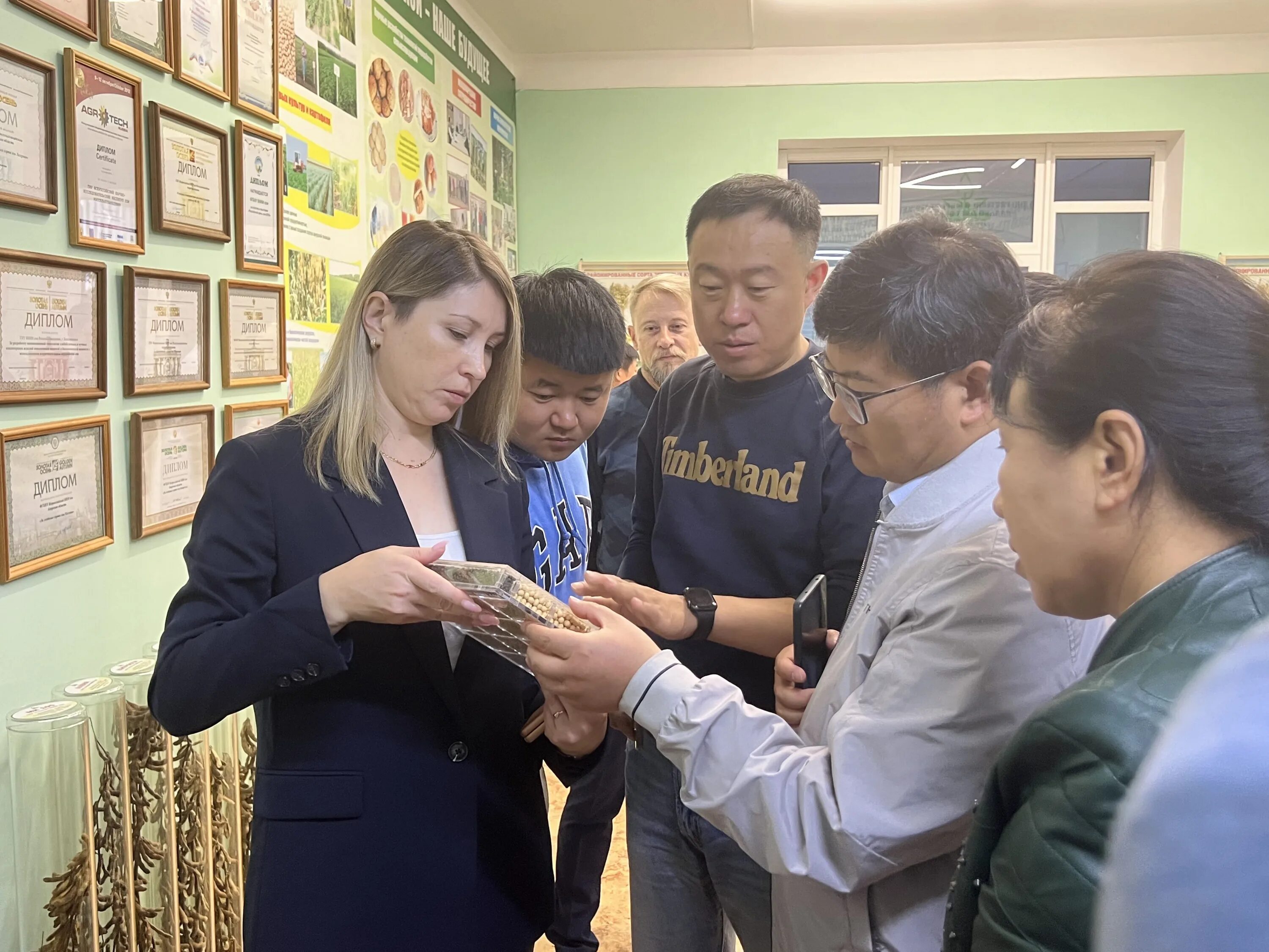 Механизация внии сои. Здание внии сои. Институт сои. Внии сои эмблема. Калицкая благовещенск внии сои.