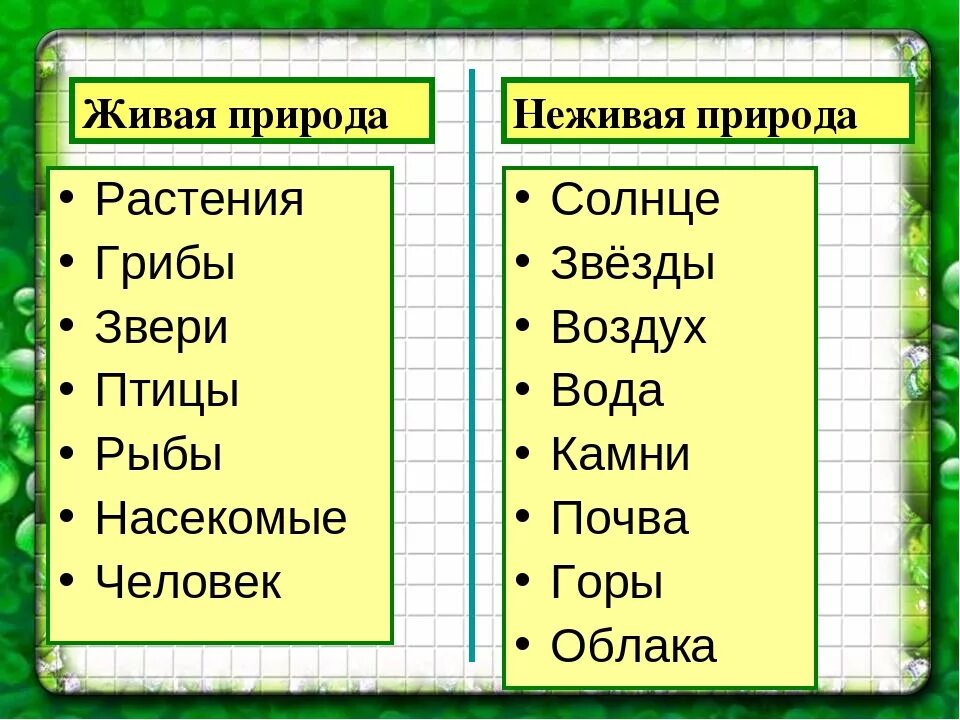 Приведи примеры предметов. Объекты неживой природы 2 класс окружающий мир. Чио относится к не живой природе. Объекты живой природы. Живая и неживая приролд.