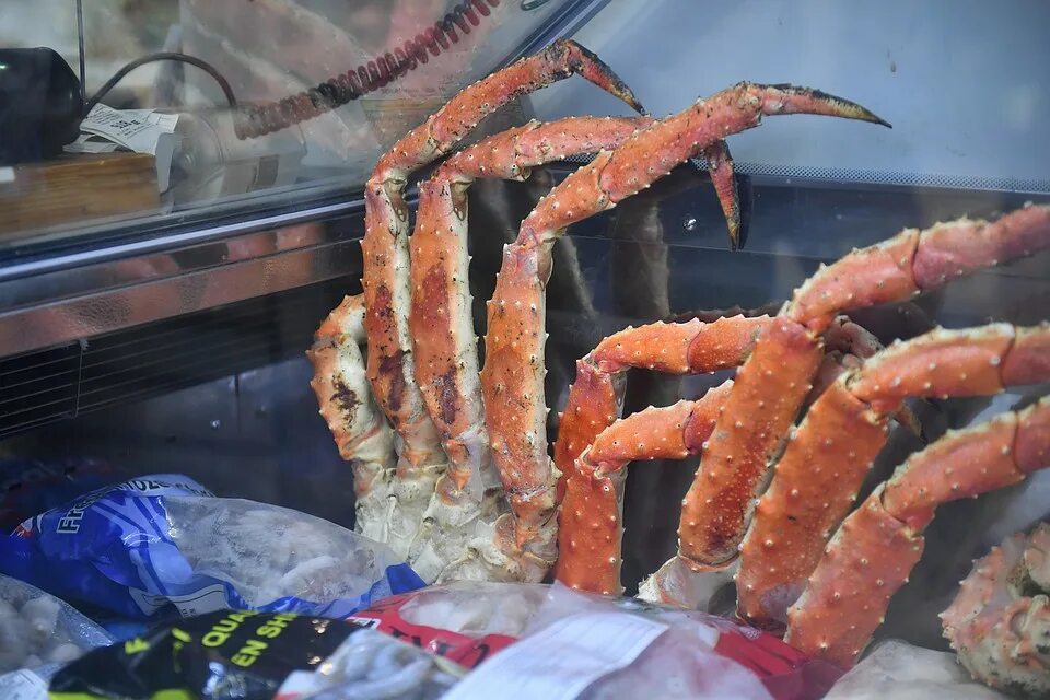 самка камчатского краба. клешни камчатского краба l. краб стригун опилио. придумать задачу на сложные проценты. крабы стоили 150.