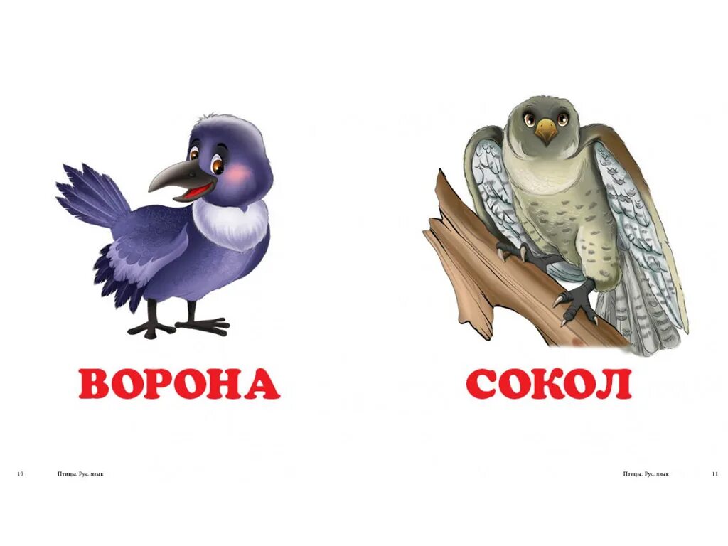 Сокол и ворон читать