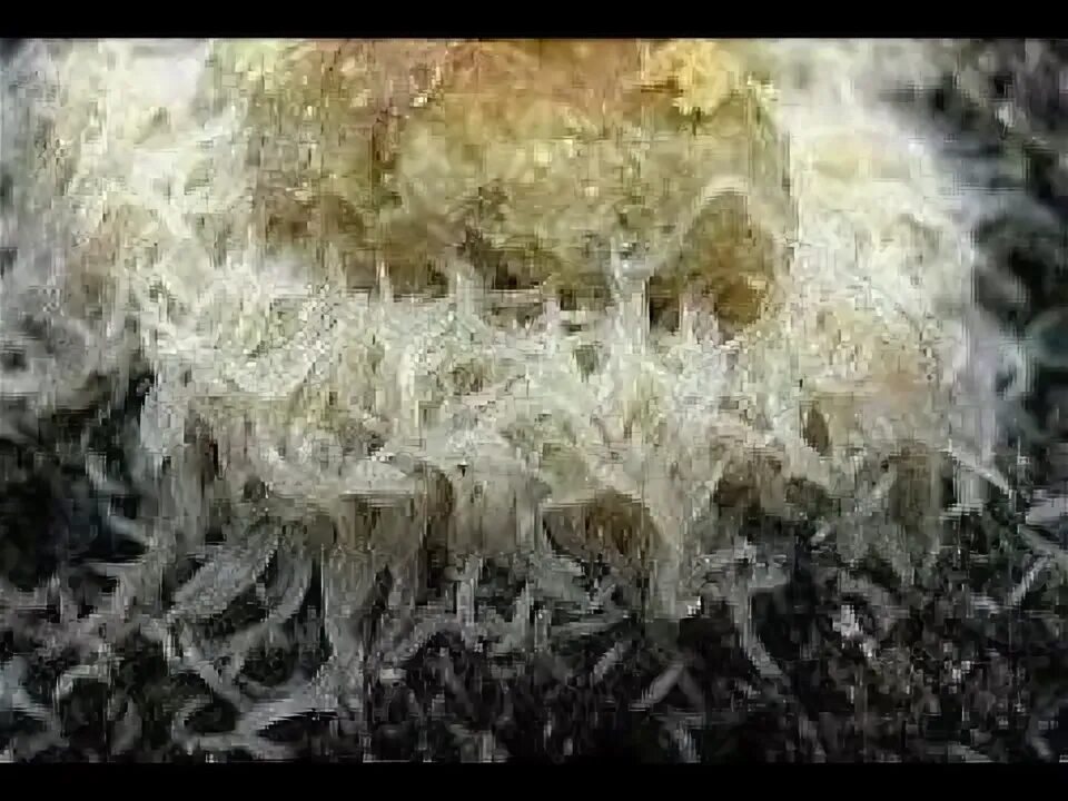 How to get truffle worms fisch