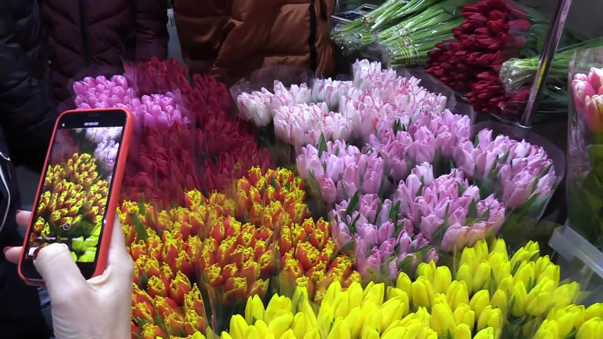 Рижский рынок цены на цветы 2024. Рижский рынок тюльпаны. Рижский рынок цветов. Рижский рынок сухоцветы. Цветы на рынке.