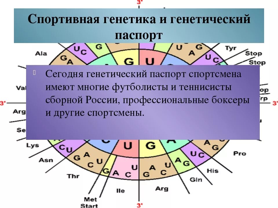 Генетика. Генетика в спорте. Цели и задачи генетики. Спортивная тематика. Геном спортсмена.