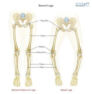 Что значит leg