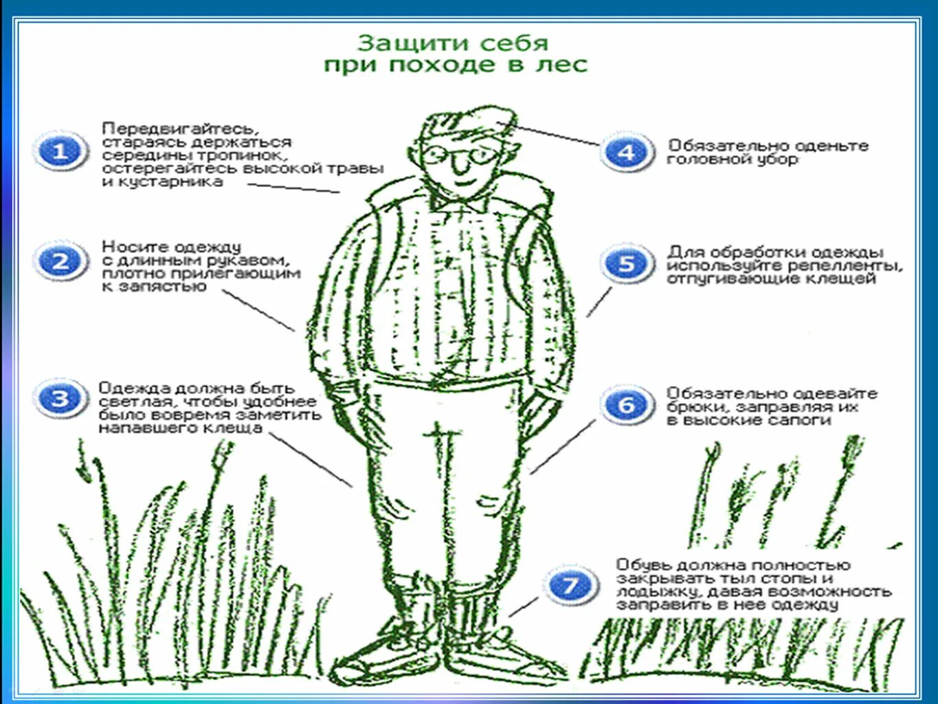 Защита от укусов клещей. Одежда для защиты от клещей. Оделся от клещей. Одежда в лес от клещей. Защититная одежда от клещей.
