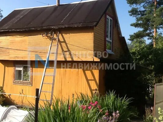 Дача фото. Дачный массив. Платформа 80 км снт массив новинка. Дачный участок. Старосемейкино дачи.