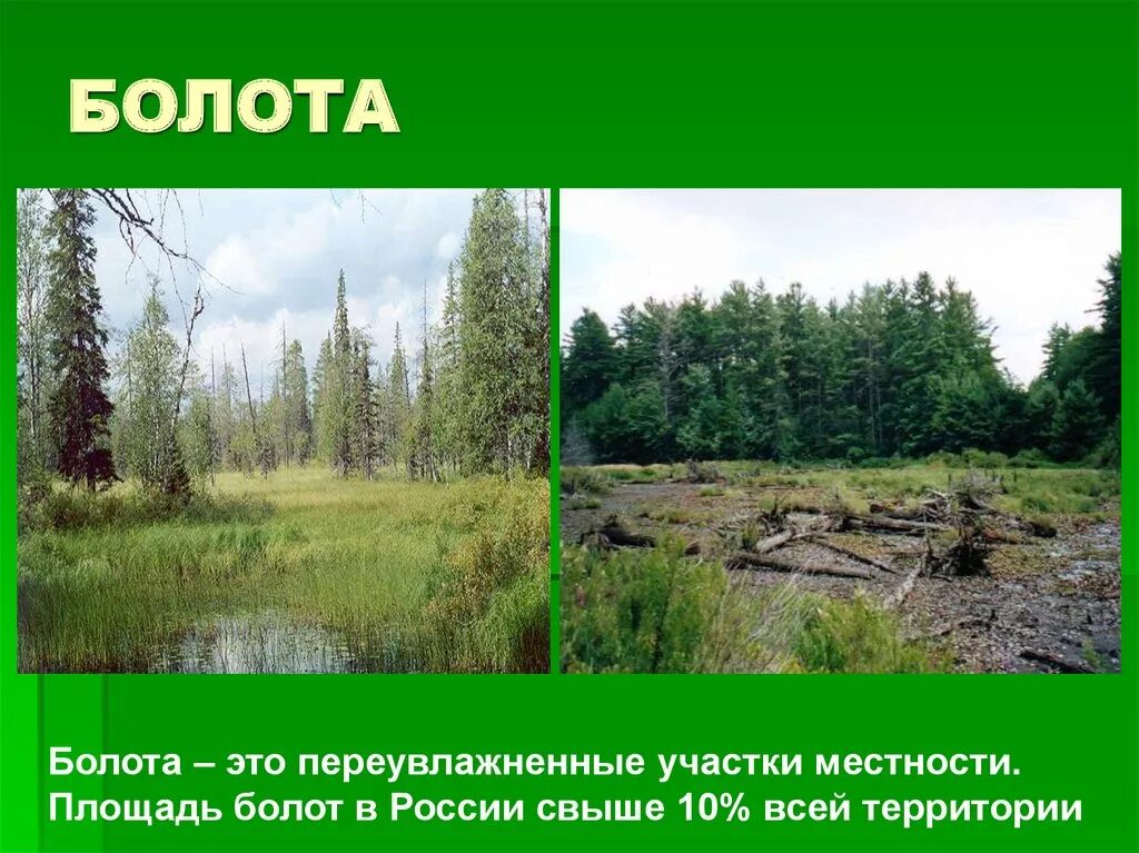 Составляющая болотной. Озёра болота ледники подземные воды. Болота на территории России. Площадь болот в России. Переувлажненный участок местности.