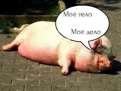 Ты пахнешь как свинья немытая 3 дня