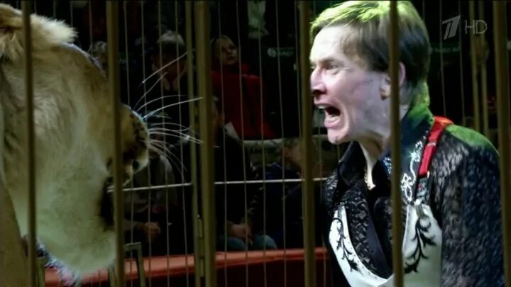 Империя львиц смолянец. Хамада кута дрессировщик. Укротитель дедов слушать. Укротитель дедов слушать. Дрессировка в цирке.