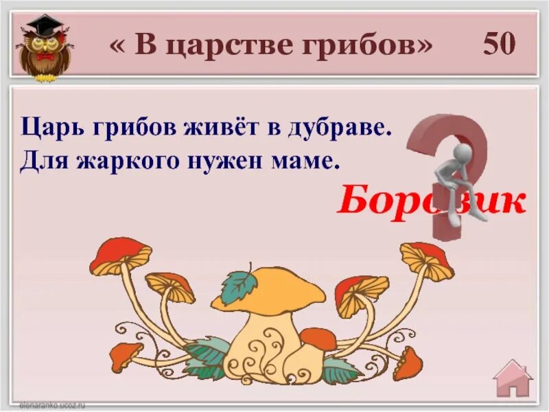 Есть царство грибов. Царство грибов. Царь в царстве грибов. Царь гриб в царстве грибов. Царь грибов живет в Дубраве для жаркого нужен маме.