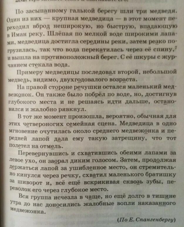 Потоки воды неслись по усыпанному. Диктант по засыпанному Галькой берегу шли. По засыпанному Галькой. Диктант три Медведица. По засыпанному Галькой берегу шли три медведя текст.