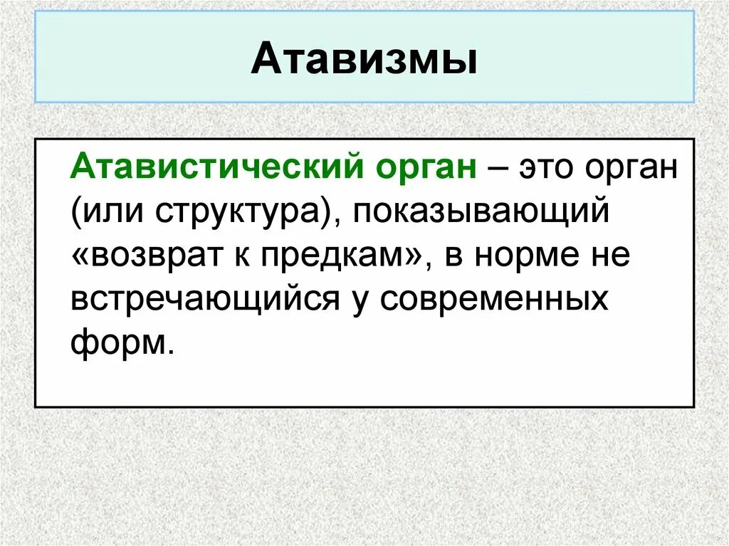 К атавизмам относятся