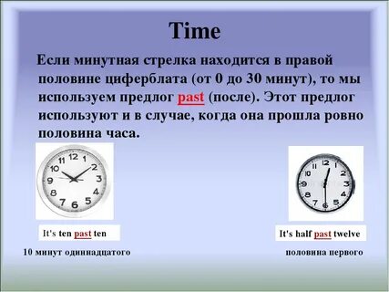18204 дня это сколько лет