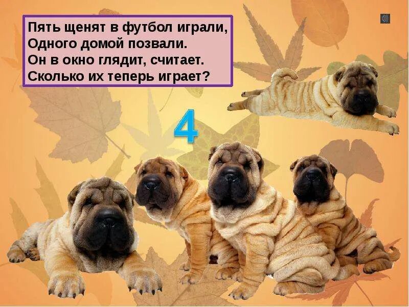 Когда домой. Позови его домой. Анекдот про вечер. Пять щенков в футбол играли. Пять щенят в футбол играли одного домой.