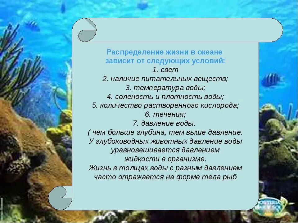 Особенности жизни в океане 6 класс