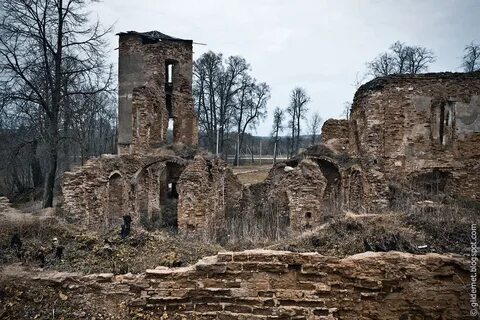 Развалины графского замка