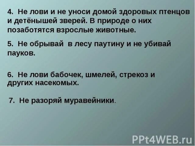 Не уноси птенцов. 3 правила друзей природы. Почему нельзя трогать животных в лесу. Почему нельзя ловить и уносить домой детенышей. Не забирай животных из леса домой.