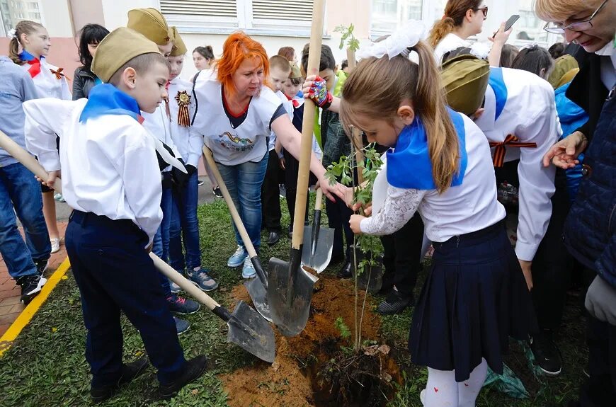 Балашиха 29 февраля школы. Школа 29 Балашиха. Школа в лесу. Лесная школа. Школа в лесах.