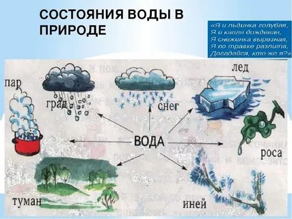 Дерево в жидком состоянии