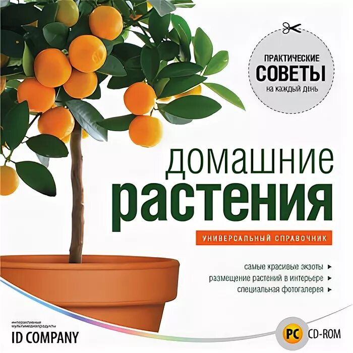 Программа для домашнего растения. Магнит денег домашние растения. Plant company