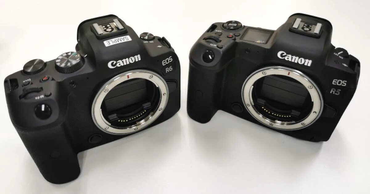 Canon rp r8. Кэнон eos 5r. canon eos r5 r6. canon eos r и r6. canon r5 китайский.