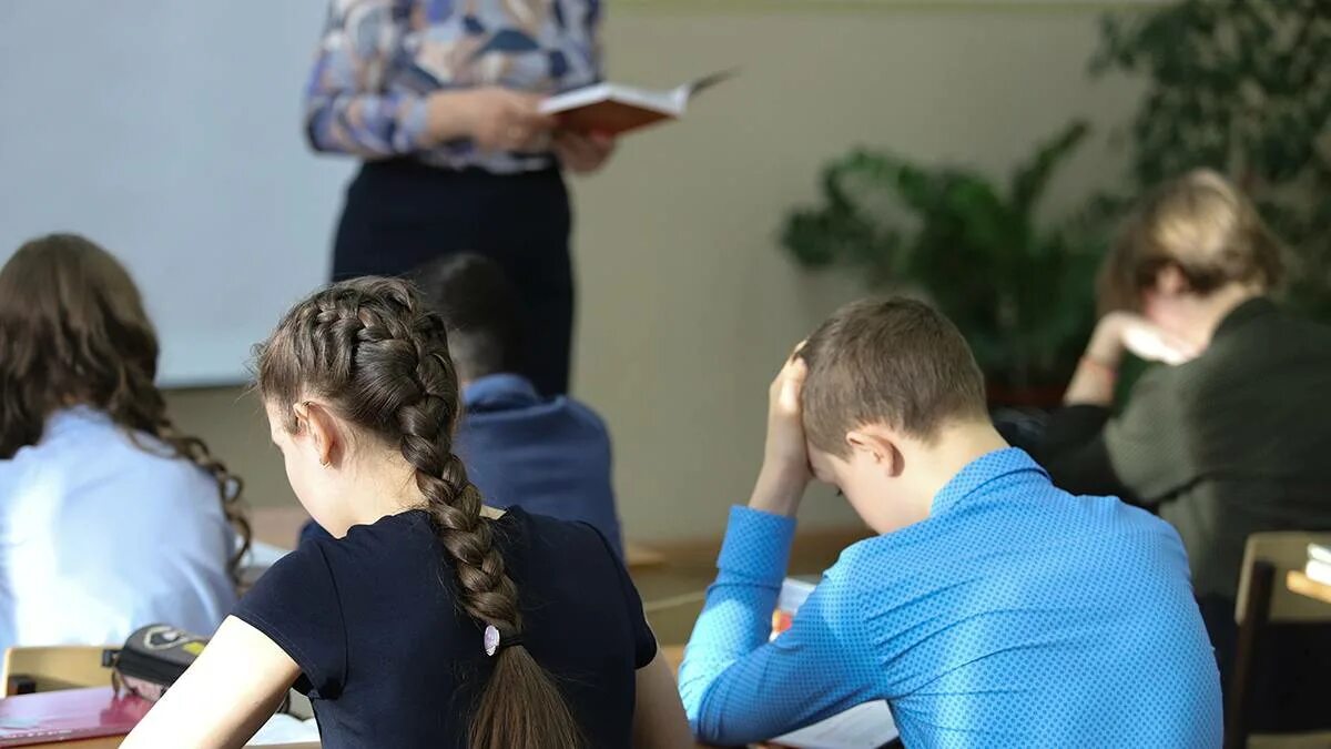 Школьники на уроке. Школьники со спины. Родители за партами в школе. Семиклассники на уроке. Школа говори видео