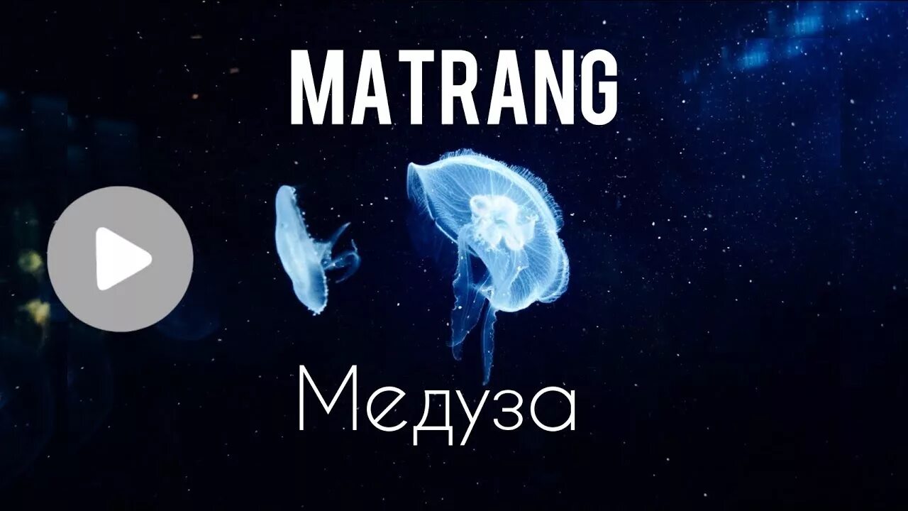 Матранг медуза. Матранг медуза обложка. Медуза кавер. Медуза песня.