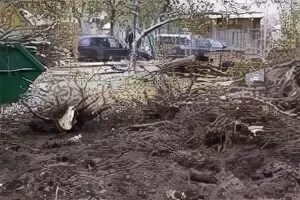 Волгоград огороде