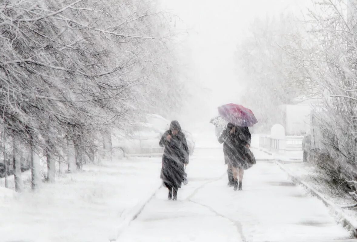 зима метель. снежный ветер. рассказ зима метет. зимняя вьюга. зима метет.