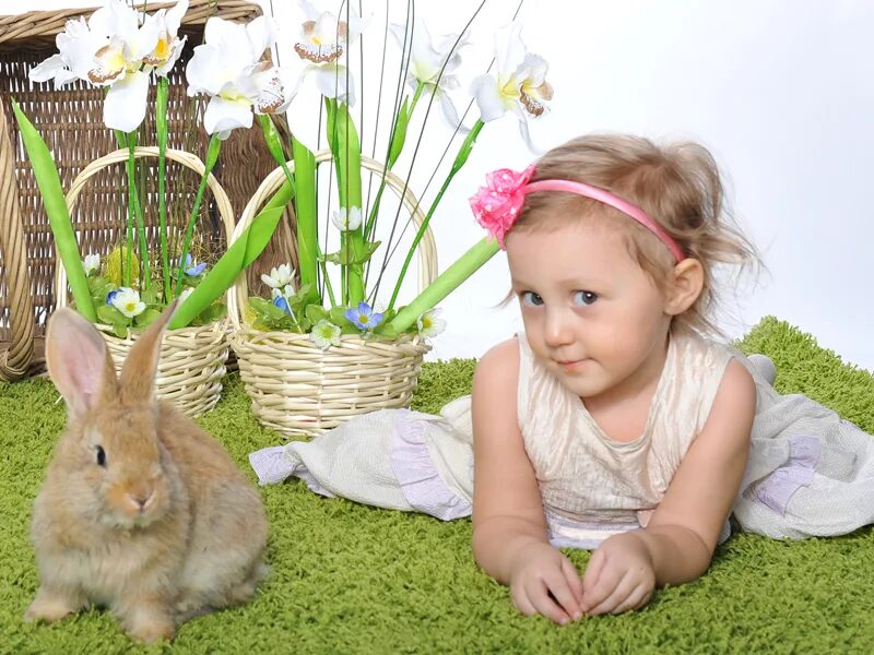 Кролик ребенку 4 лет. Фотосессия с кроликом. Пасхальная фотосессия с кроликом. Крольчата для детей. Пасхальная фотосессия для детей.