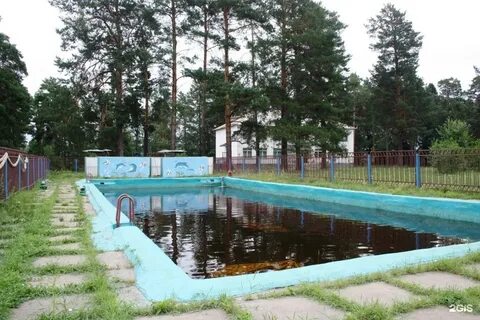 Лагерь белка