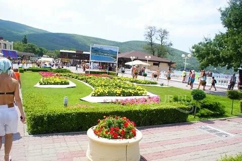 Ахиллес кабардинка