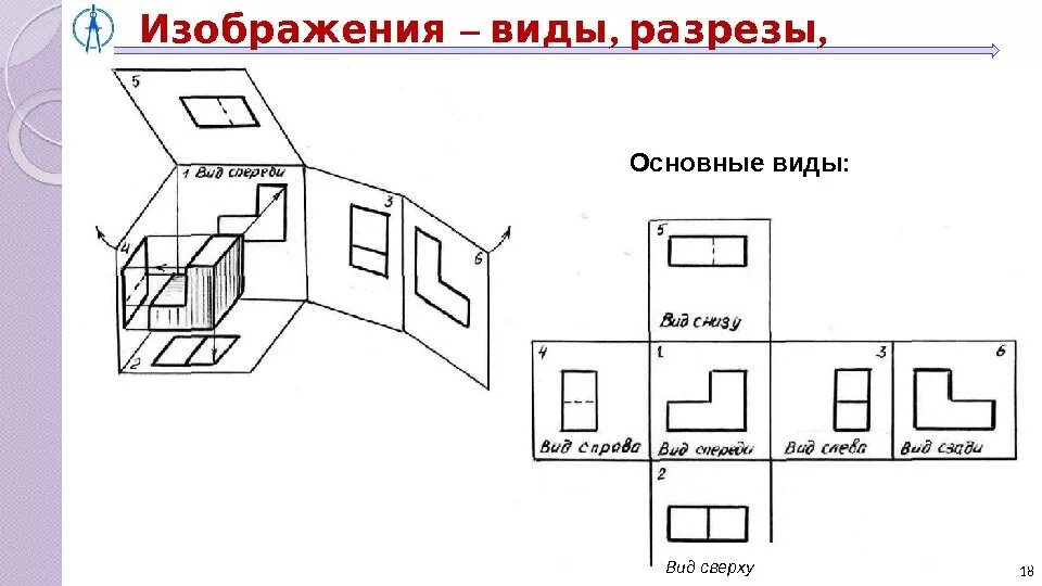 Названия основных видов: найдено 74 изображений