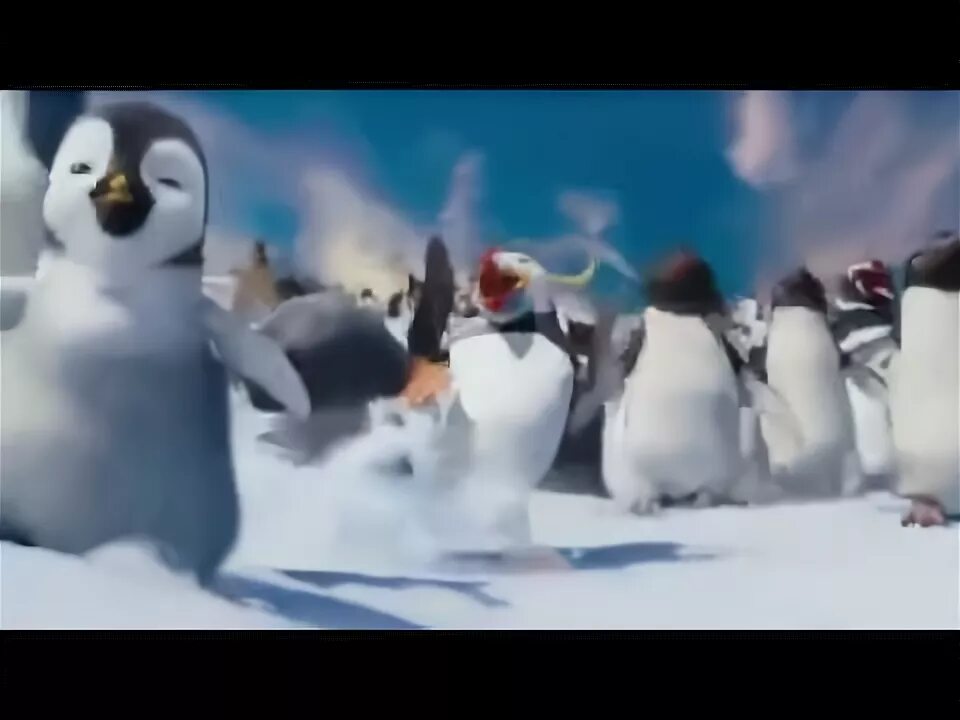 Пингвины из клипа. Песня про пингвинов в Антарктиде. Крылов пингвины. Включи песню пингвины