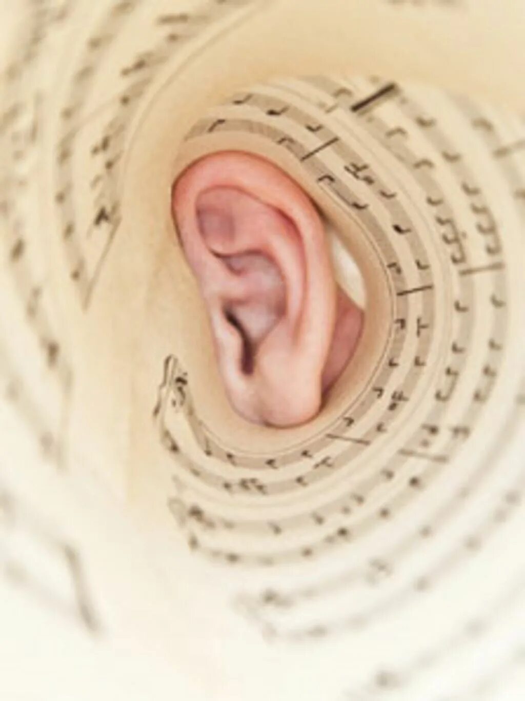 Музыкальный слух является. Музыкальный слух. Врожденные музыкальный слух. Музыкальные уши.