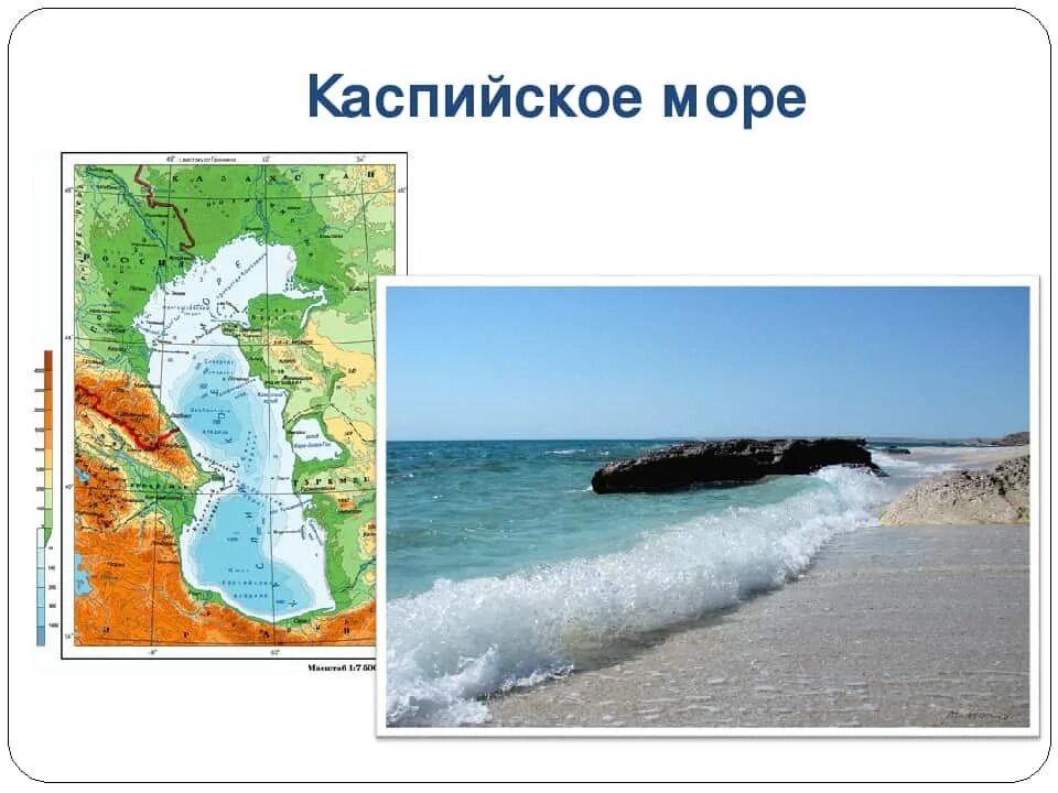 Каспийское море. Каспийское море омывает. Моря России Каспийское море. Побережье Каспийского моря карта.