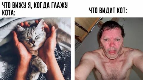 Да я с виду