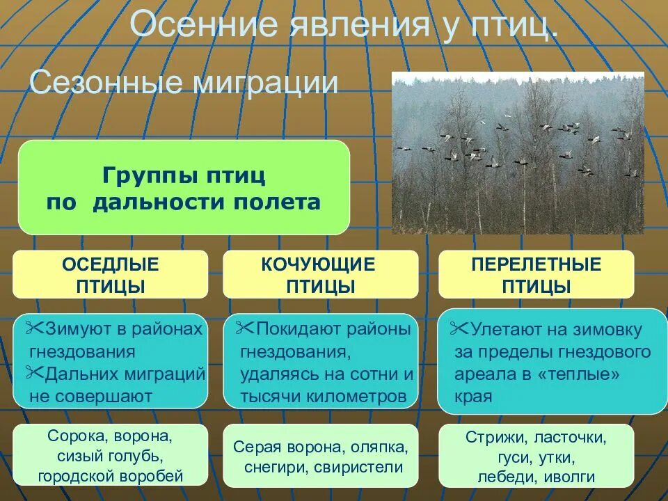 Сезонные явления в жизни организмов