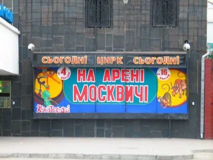 Устроили цирк